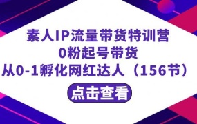 繁星·计划素人IP流量带货特训营:0粉起号带货 从0-1孵化网红达人(156节)