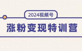 2024视频号-涨粉变现特训营:一站式打造稳定视频号涨粉变现模式(10节)