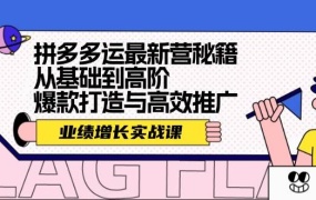 拼多多运最新营秘籍:业绩 增长实战课,从基础到高阶,爆款打造与高效推广