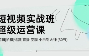 短视频实战班-超级运营课,|剪辑|拍摄|运营|直播|变现 小白到大神 (30节)