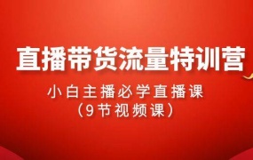 2024直播带货流量特训营,小白主播必学直播课(9节视频课)