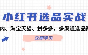 小红书选品实战:站内、淘宝天猫、拼多多,多渠道选品策略