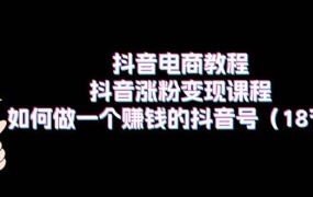 抖音电商教程:抖音涨粉变现课程:如何做一个赚钱的抖音号(18节)