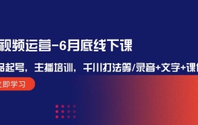 短视频运营-6月底线下课:单品起号,主播培训,千川打法等/录音+文字+课件