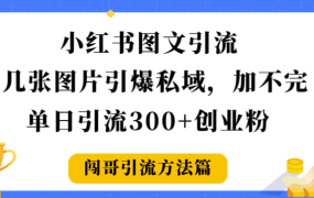 小红书图文引流,几张图片引爆私域加不完,单日引流300+创业粉