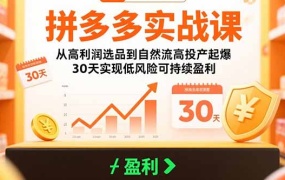 拼多多实战课:从高利润选品到自然流高投产起爆 30天实现低风险可持续盈利