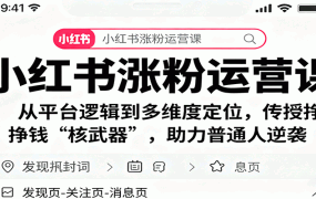 小红书涨粉运营课:从平台逻辑到多维度定位,传授挣钱 “核武器”,助力普通人逆袭
