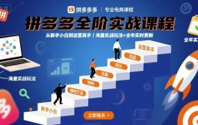 拼多多全阶实战课程,从新手小白到运营高手,海量实战玩法+全年实时更新【2025年10月更新】