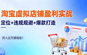 淘宝虚拟店铺盈利实战:定位+违规规避+爆款打造,月入过万很轻松!