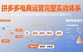 拼多多电商运营完整实战体系,从选品上架到稳定盈利完整商业闭环(更新8月