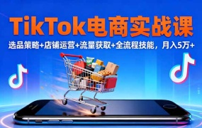 TikTok电商实战课10月,选品策略+店铺运营+流量获取+全流程技能,月入5万+