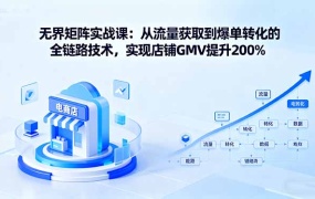 无界矩阵实战课:从流量获取到爆单转化的全链路技术,实现店铺GMV提升200%