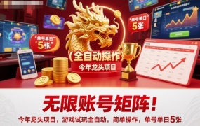 无限账号矩阵!今年龙头项目,游戏试玩全自动,简单操作,单号单日5张【揭秘】