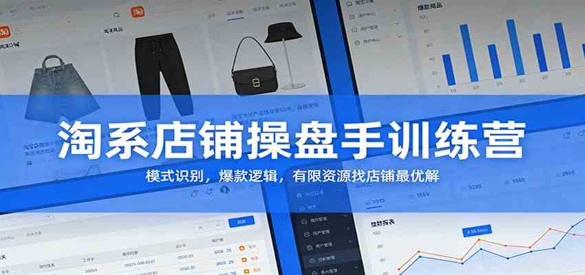 淘系店铺操盘手训练营:模式识别,爆款逻辑,有限资源找店铺最优解